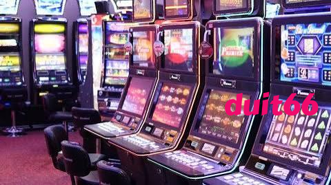 duit66 Live Sportsbook Markets at Your Fingertips